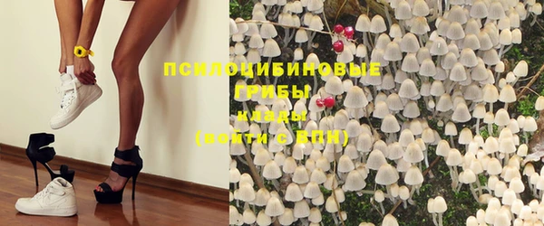 Альфа ПВП Аркадак