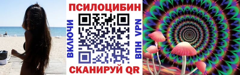 наркота Камбарка Псилоцибиновые грибы MAGIC MUSHROOMS