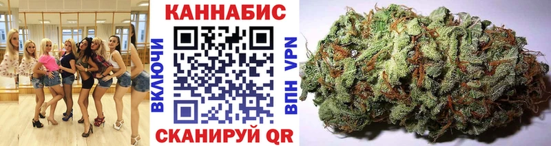 Бошки марихуана SATIVA & INDICA  продажа наркотиков  Камбарка 